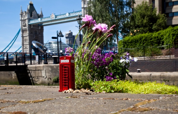 pothole garden tower bridge london phone box 