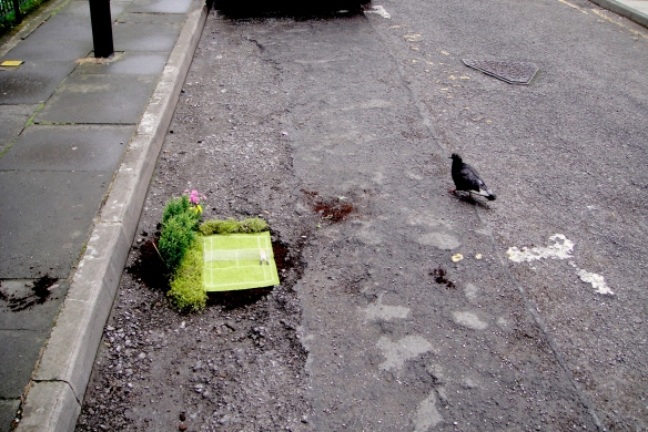 wimbledon tennis London pothole garden pigeon